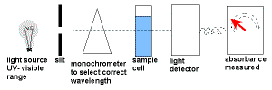 UV-Visible spectroscopy